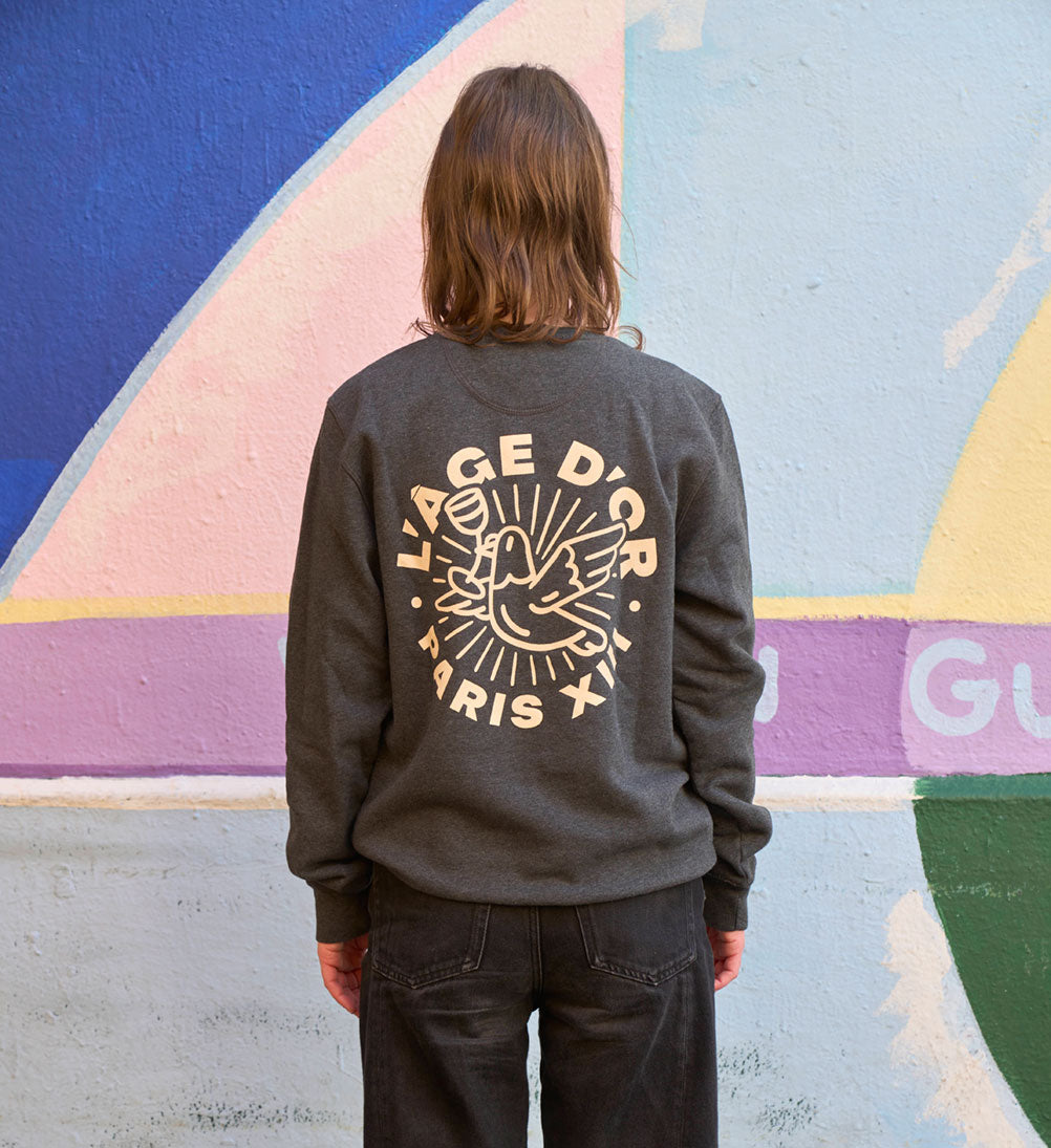 Sweat gris
