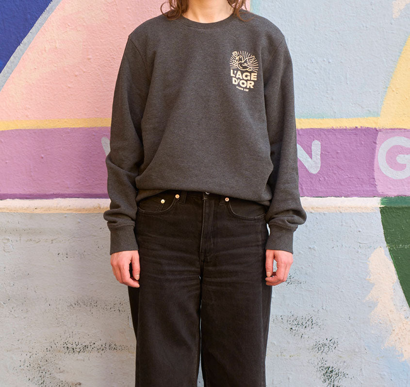 Sweat gris